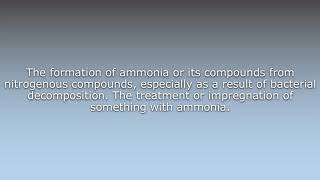What Does Ammonification Mean?