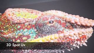 B1 Size 3D Spot Varnish & foil printer |