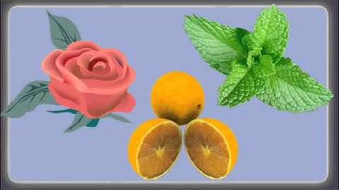 Managing Destructive Scratching Behavior in Cats Part 5 - Positive Reinforcement and Discouragement