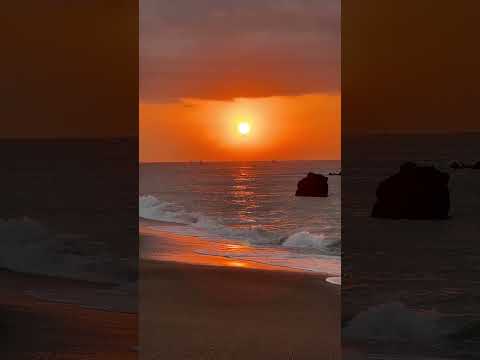 【絶景】太平洋に昇る朝陽♪渥美半島「日出の石門・堀切海岸」から♪打ち寄せる波、自然音とともにご覧ください|2025年9月28日朝