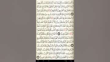 ماهر المعيقلي سورة البقرة مكتوبة صفحة 38 مصحف المدينة المنورة جودة عالية