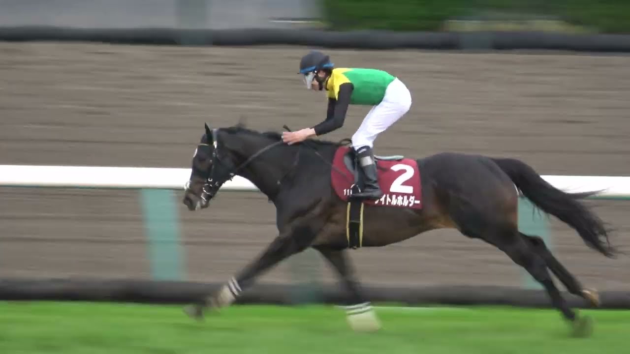 日経賞2023】タイトルホルダー8馬身差の圧勝劇 現地映像 - YouTube