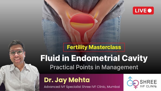 Endometriosis Treatment  Endometriosis Clinic In Mumbai - Dr Jay Mehta