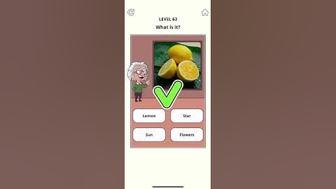 Einstein Brain Games & Puzzles Level 63