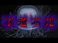 【驚愕】5億年以上生きる最強のクラゲ