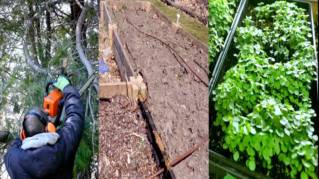 Clean and Prepare the Garden for Spring Planting - YouTube