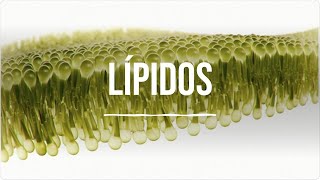 Lípidos - Bioquímica - Lic. en Nutrición