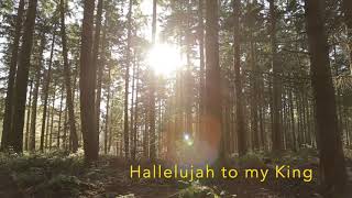 Hallelujah to My King