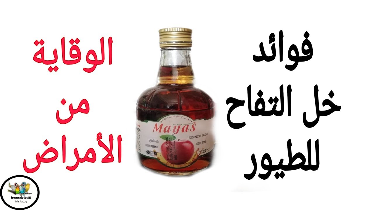 فوائد خل التفاح الطبيعي للطيور والوقاية من الأمراض Youtube