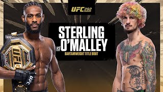 Aljamain Sterling vs. Sean O'Malley | Official Fight Highlights | UFC 292 |