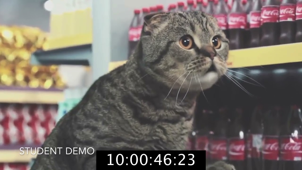 Netto Commercial Re-Score