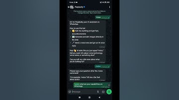 instant answers in your pocket incredible AI voice chats perplexity on WhatsApp human TTS voices 🤯🤯🤯
