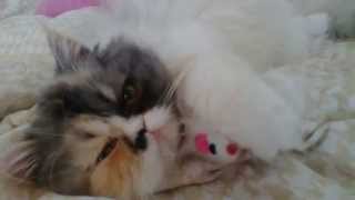 Amely With Her Baby. Moi