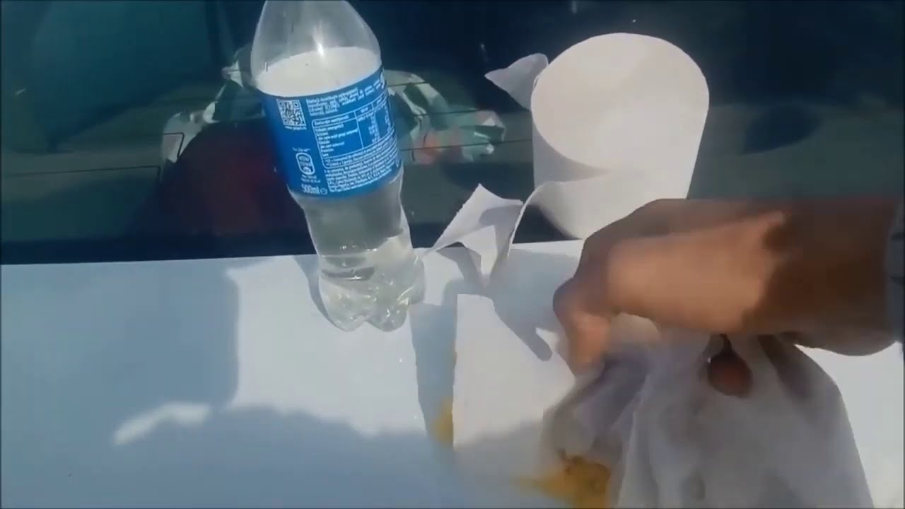 CEA MAI BUNA MAMALIGA PENTRU PESCUIT - MAI BUNA CA MAMALIGA LUI CONGO - PREPARARE SI REPARARE