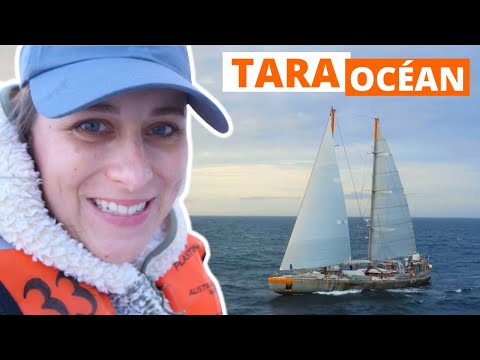 La vie à bord d'un voilier scientifique (j'ai vomi mdr) ⛵️ @FondationTaraOcéan