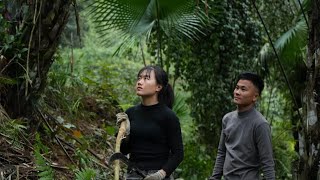 Download Lagu Thang en Nhi dromen ervan om in het nieuwe jaar vee te gaan houden | Tet-inkoopplan MP3