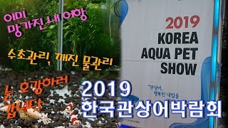 [물 생활의 시작] 첫번째 여정 ❣❣ 2019 한국 관상어 박람회 Korea Aqua Pet Show