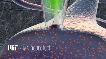 Neurotech 5: Tapping into Neurons (Autopatching)