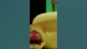 Snake animation made in blender