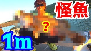 オーストラリア3日目！この遠征の目標の魚がついに・・・　#6