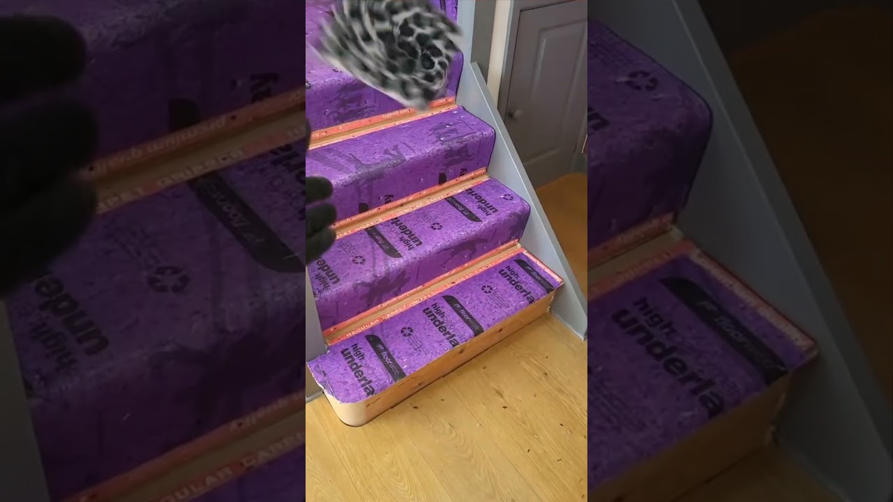 leopard print staircase. love it. 