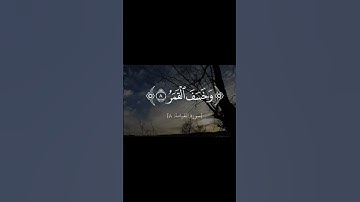 سورة القيامة #القرآن_الكريم #سورة القيامة