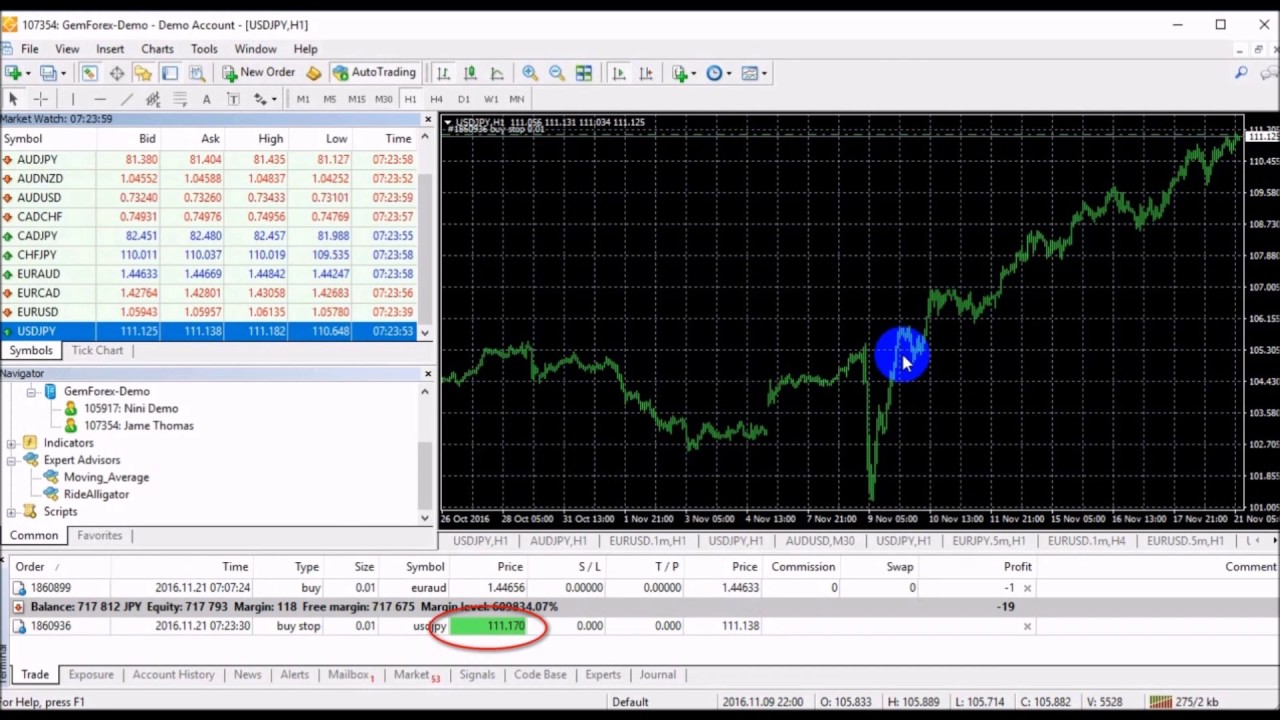 Gforex