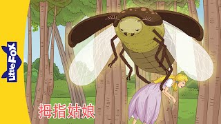 拇指姑娘 Thumbelina 5~6｜中文动画｜安徒生故事｜睡前故事｜Classic｜Chinese Stories for Kids | Little Fox Chinese