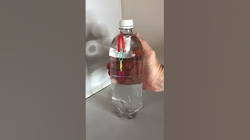 Cartesian Diver