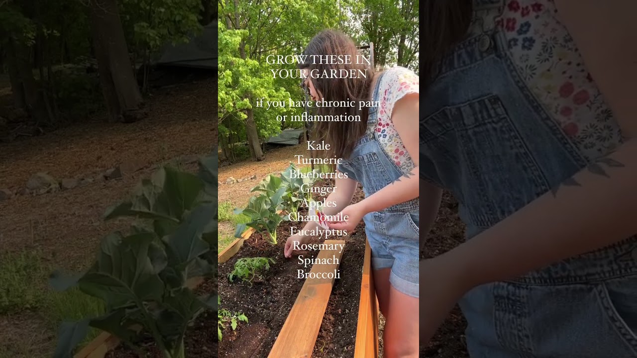 Grow These Plants if You Have Chronic Pain and Inflammation | 