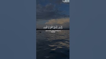 سورة النحل - الآية 68 | محمد اللحيدان من سورة النحل #محمداللحيدان #قرآن #اكسبلور