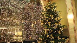 Christmas In Continental Hotel Budapest