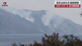 【速報】岩手山林火災、焼損倍増 1200ヘクタール、消火態勢増強