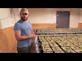 HOW TO CLONE CANNABIS. HOW TO CLONE WEED. CLONES VS. SEEDS. BEST VIDEO FOR HOW TO CLONE MARIJUANA.