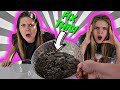 Slime Challenge FIX THIS SLIME | Taylor & Vanessa