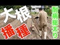 大根の畝立てと播種#179