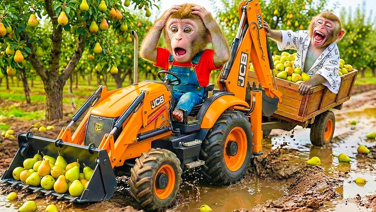 Coco Monkey Driving a JCB Excavator 🚜 | Nana Monkey Destroys the Pear Orchard 🍐 | Farm Life Chaos 🐒