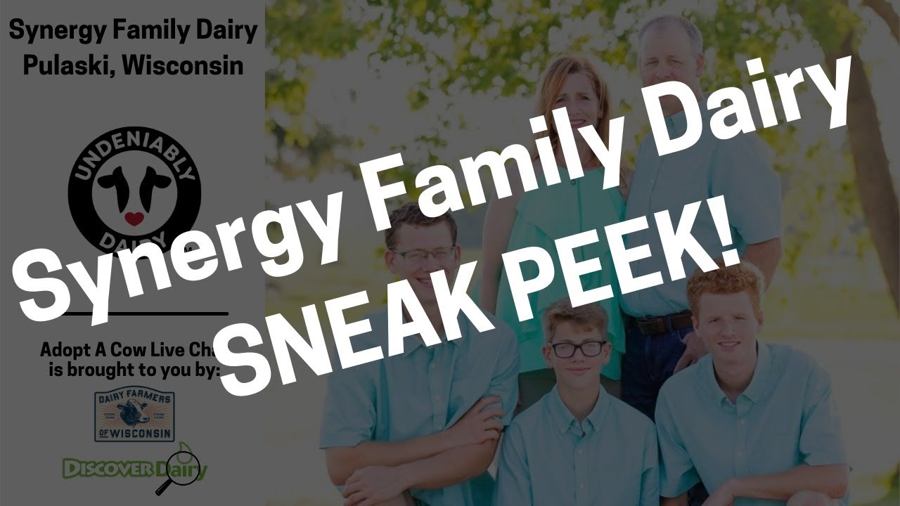 Sneak Peek Synergy Family Dairy YouTube