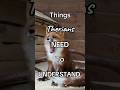 Things therians need to UNDERSTAND🐾🦊