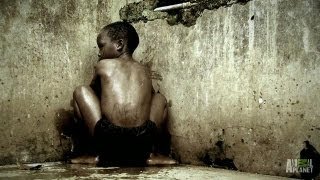 Download Monkey Boy Sent to School | Raised Wild Monkey Boy Sent to School | Raised Wild