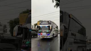 Download Lagu kids panda 🐼#busmaniacomunity #basuri #basuri#biskidspanda🐼 MP3