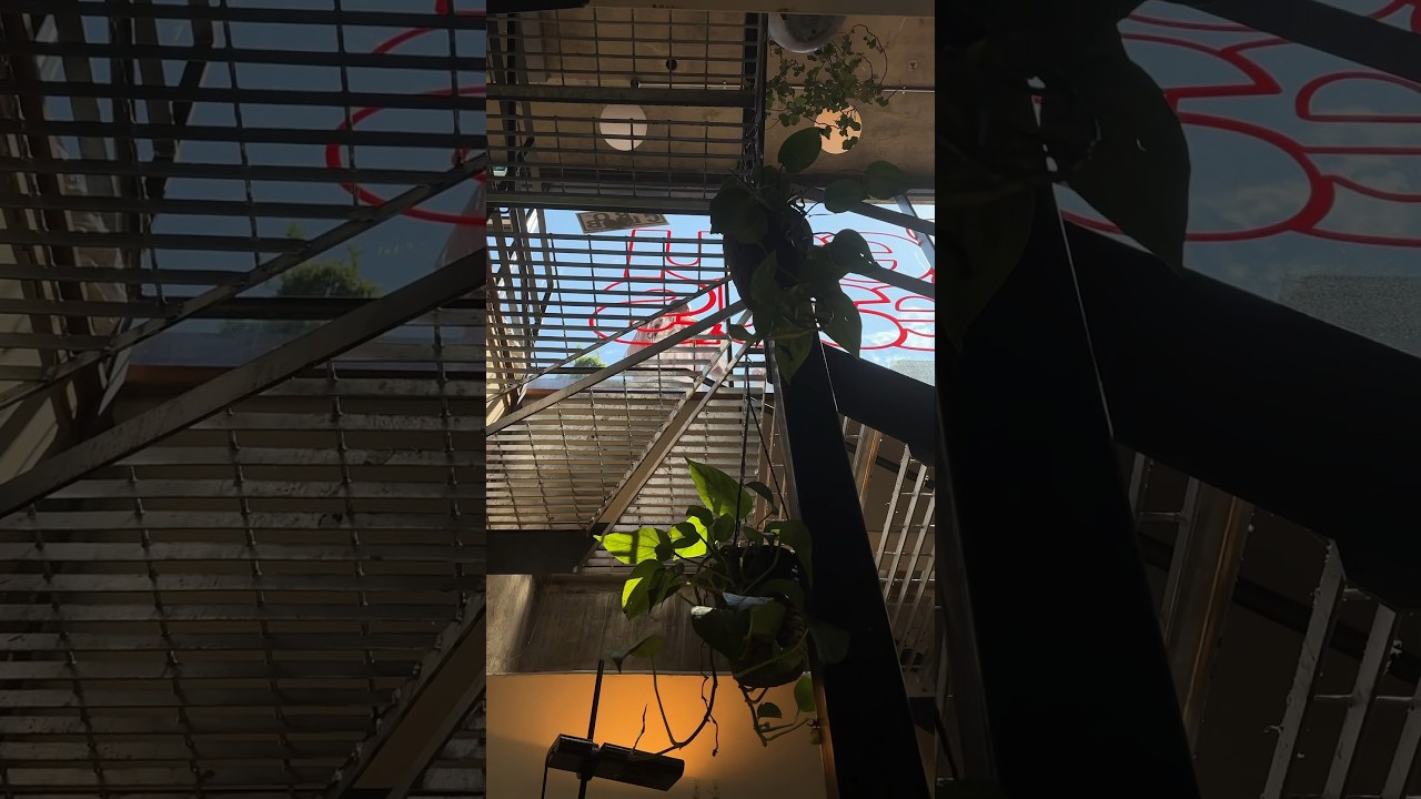 Exploring Beau Beaus Cafe in London - A Hidden Gem for Coffee Lovers