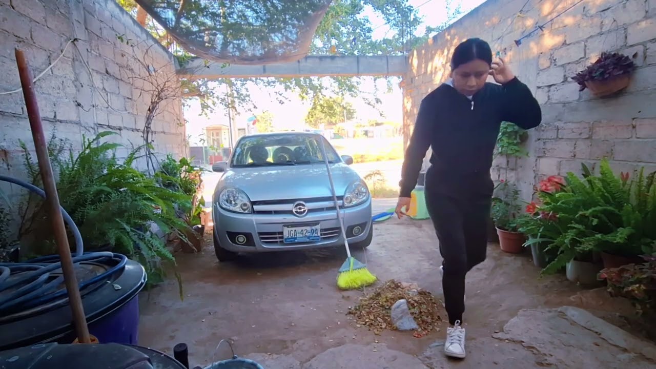 ✨️LIMPIANDO y regando mis PLANTAS 🪴🌿, se junta mucha basura , por el árbol 🌳 😡 