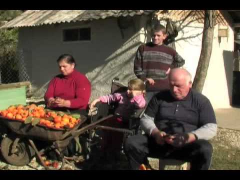 საპატრიარქოს TV სამეგრელოში --  III ნაწილი