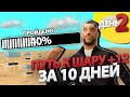 ПУТЬ ДО ШАРА +12 ЗА 10 ДНЕЙ на АРИЗОНА РП #2 - ПЕРЕПРОДАЛ НА РЫНКЕ НА 120КК ЗА 24 ЧАСА GTA SAMP