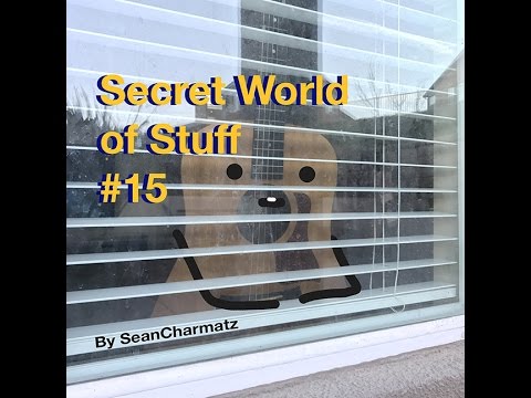 Secret World of