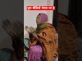     shorts sangeet ladiessangeet marwadi bhajan rajasthani geet lokgeet