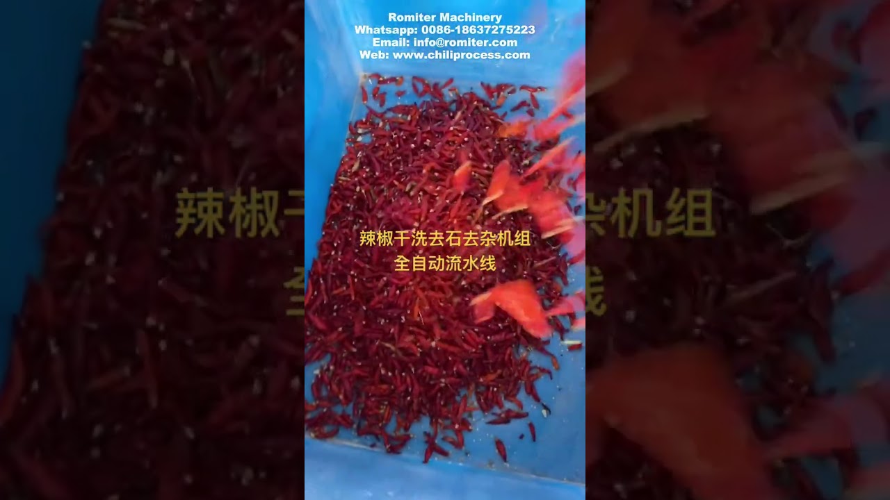 Automatic Chili Dry Cleaning and Stone Removing Machine