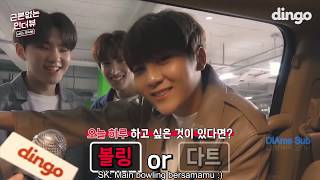 [Indo Sub] Dingo Random Interview with BooSeokSoon  by DiAme Sub