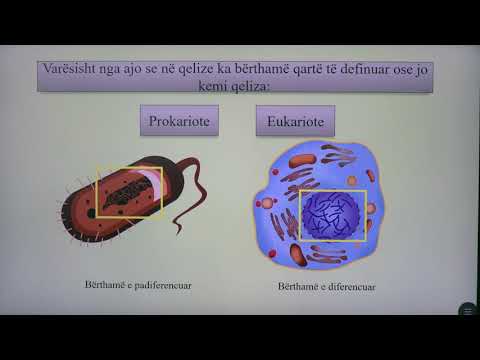 Video: Çfarë është protoplazma në biologji?